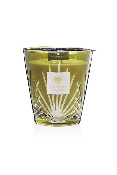 BAOBAB COLLECTION PALM SPRINGS 3