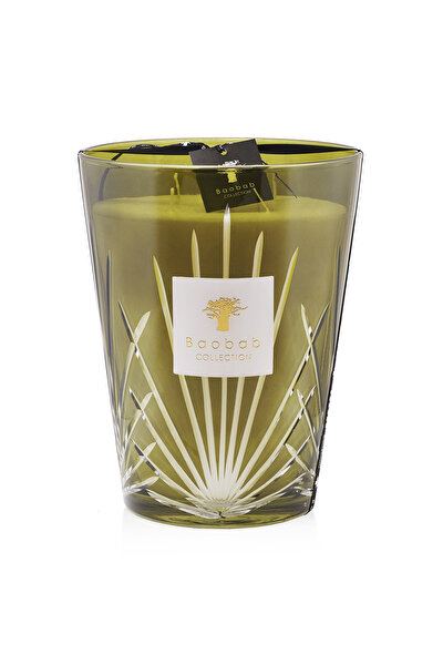 BAOBAB COLLECTION PALM SPRINGS 4