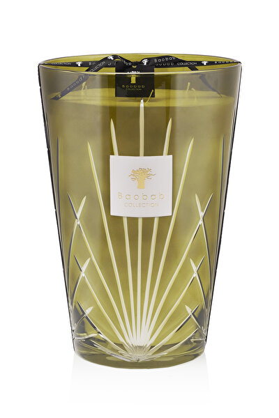 BAOBAB COLLECTION PALM SPRINGS 5