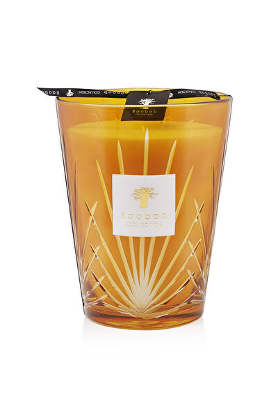 BAOBAB COLLECTION PALMA 4