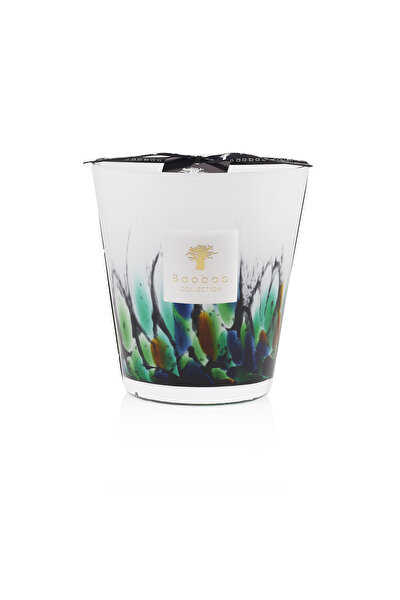 BAOBAB COLLECTION AMAZONIA 3