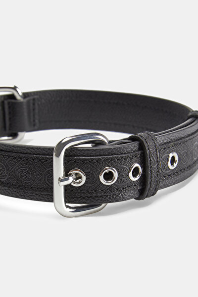 PET ACCESSORIES 4
