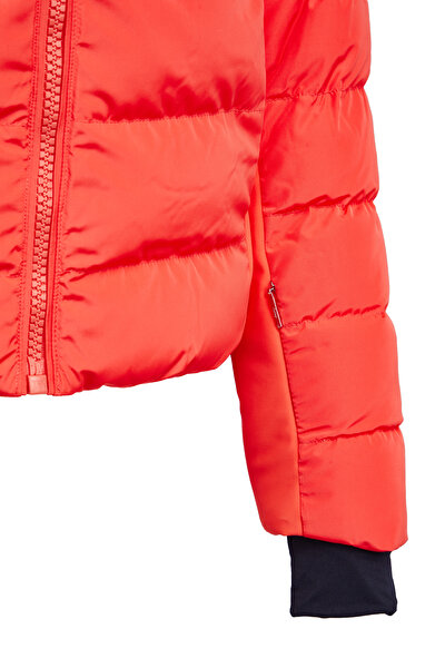 MONT 5