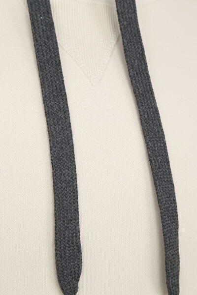 SWEATSHIRT 3
