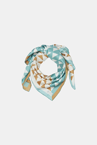 SCARF 3