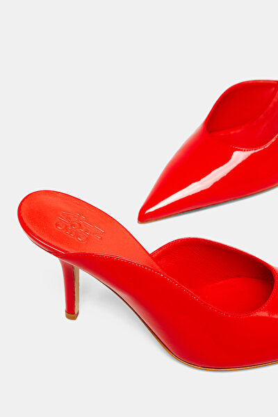 Red Slipper 5
