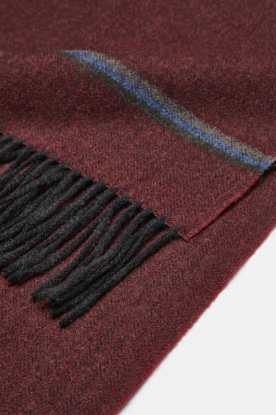 SCARF 3