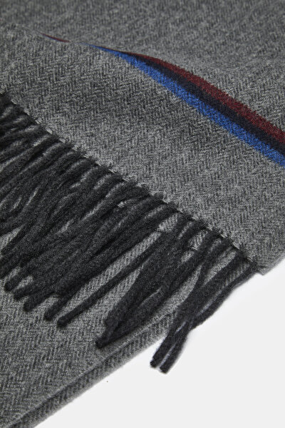 SCARF 3