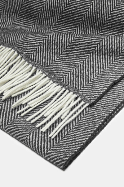 SCARF 3
