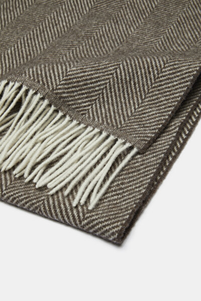 SCARF 3