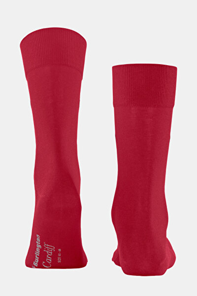 MAROON SOCK 3