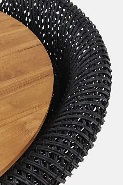 TRESTLE 4