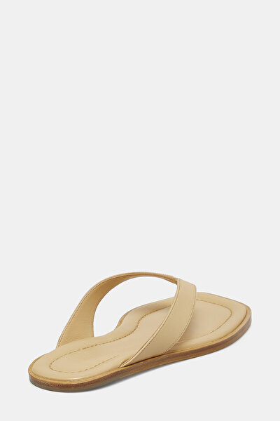 SLIPPER 3
