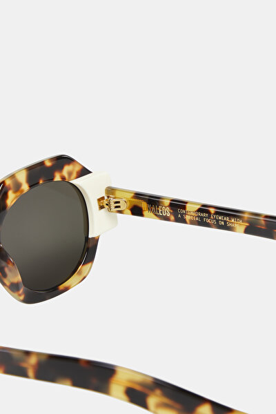 EYEWEAR 3