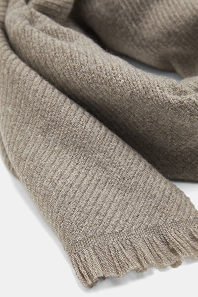 SCARF 3