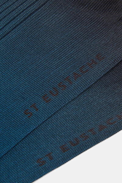 BLUE SOCK 3