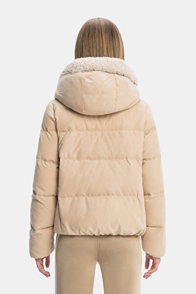 CAMEL MONT 5