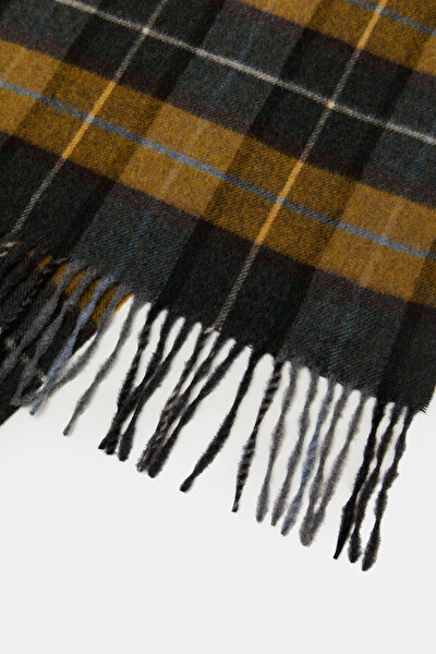 SCARF 3