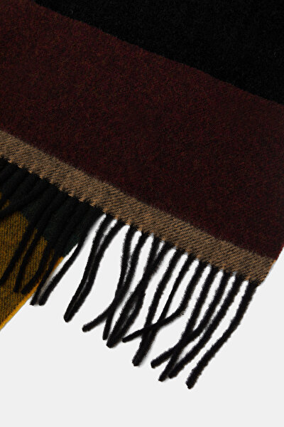 SCARF 3