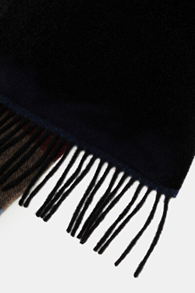 SCARF 3