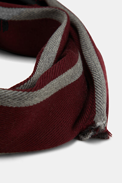 SCARF 3