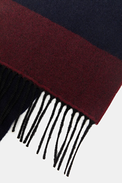 SCARF 3