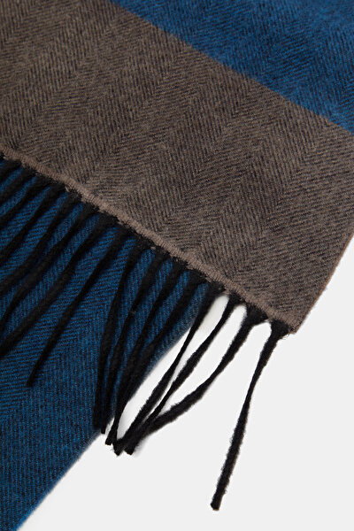 SCARF 3