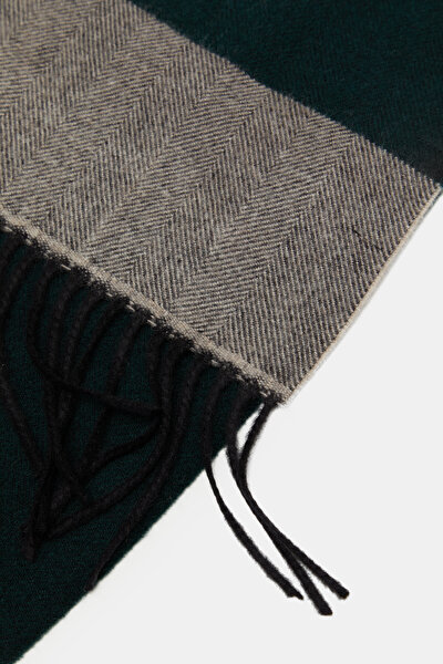 SCARF 3
