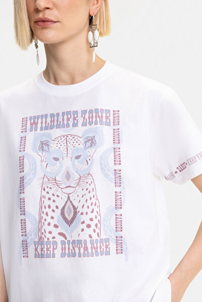 BLUE BASIC / ROUND NECKLINE SHORT SLEEVE TSHIRT 5