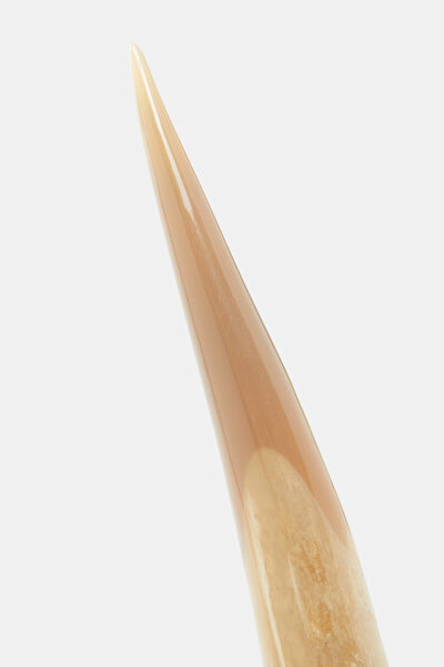 BUFFALO HORN DECORATIVE OBJECT 3