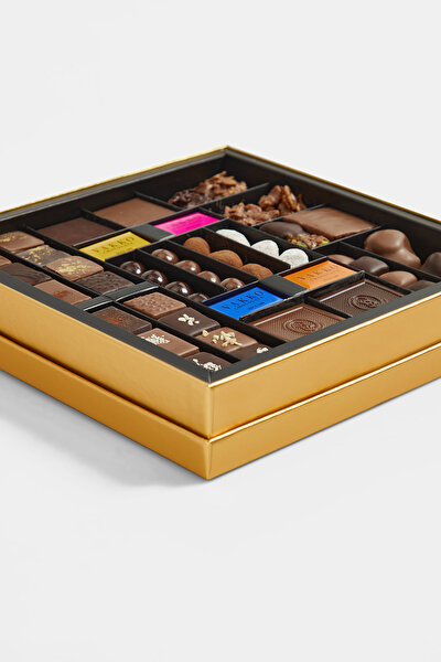 CONCEPT GOLD BOX 550 GR 4