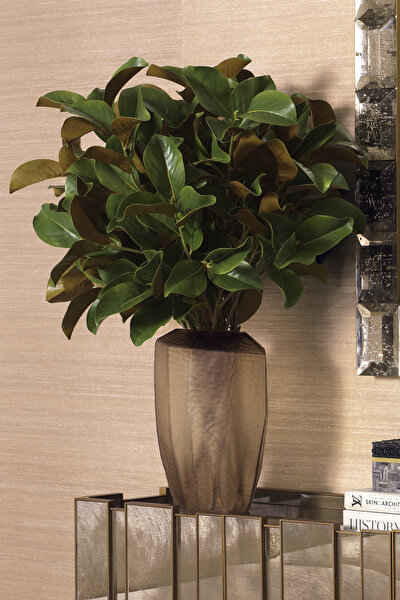 VASE 5