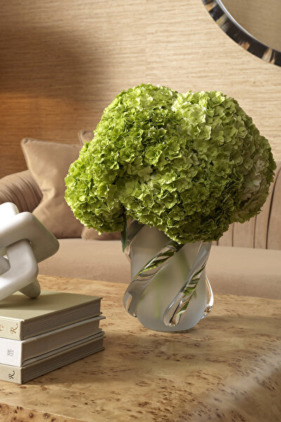 VASE 5