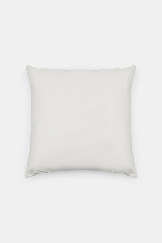 PILLOW 2