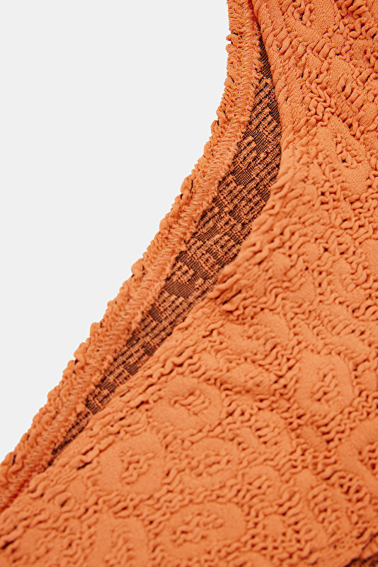 LIGHT BROWN BIKINI 4