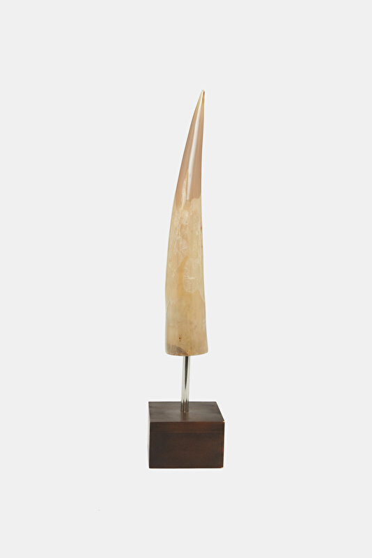 BUFFALO HORN DECORATIVE OBJECT 2