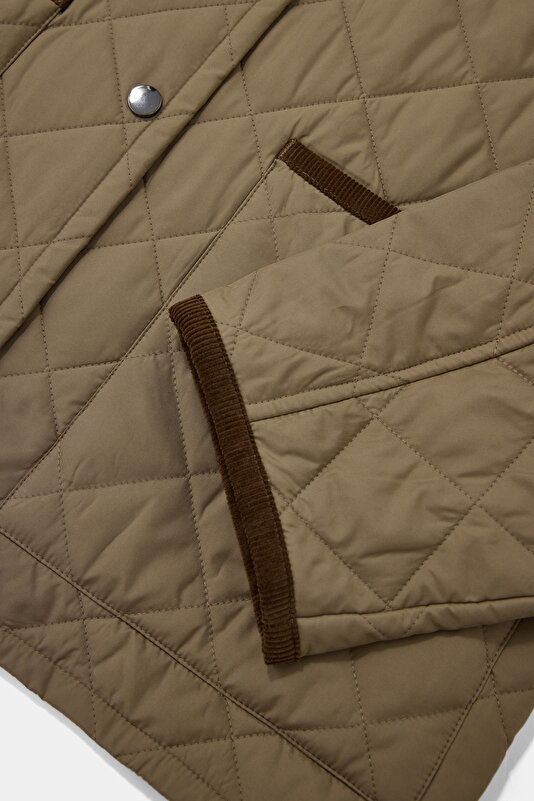 STONE COLOR COAT 4