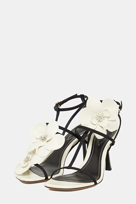 BLACK SHOE 2
