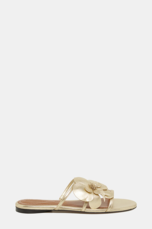 GOLD SLIPPER