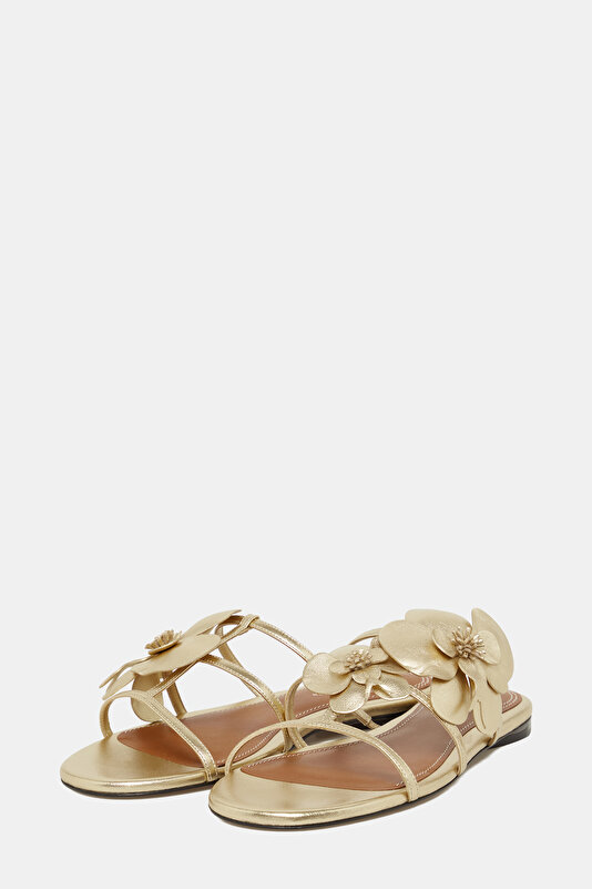 GOLD SLIPPER 2