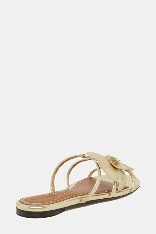 GOLD SLIPPER 3