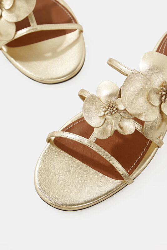 GOLD SLIPPER 4