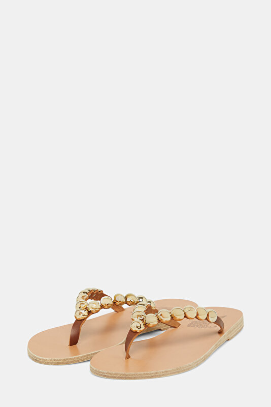 BROWN SLIPPER 2