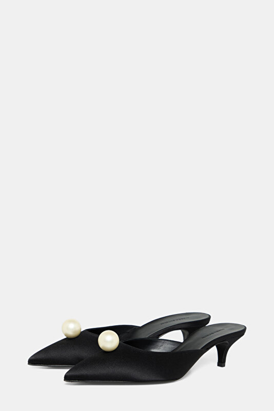 BLACK SHOE 2