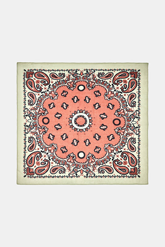 BROWN PAISLEY PATTERNED MODAL/WOOL SHAWL 2