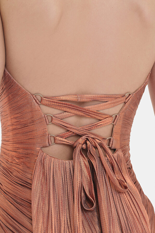 Marıa Lucıa Hohan Women Bronze Sleeveless Dress