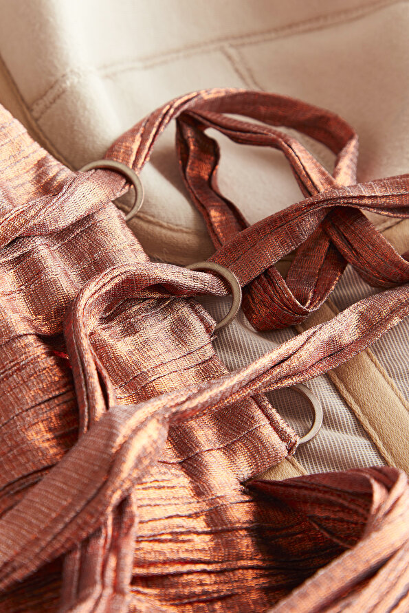 Marıa Lucıa Hohan Women Bronze Sleeveless Dress