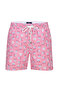 Pembe-Mavi