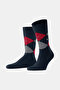Dark Navy Blue-Blue Dark Navy Blue-Blue