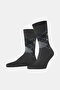 Anthracite-Black